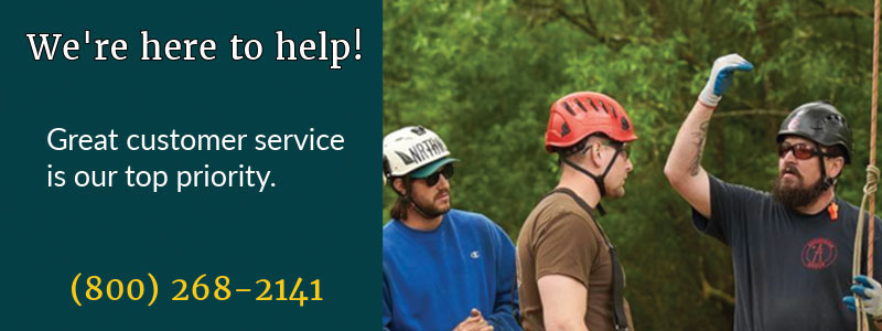 wesspur staff arborist Dave Stice instructs a student at a tree climbing workshop