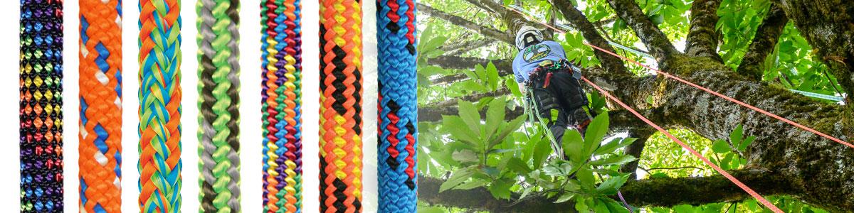 a selection of tree climbing ropes and pic of tree climber