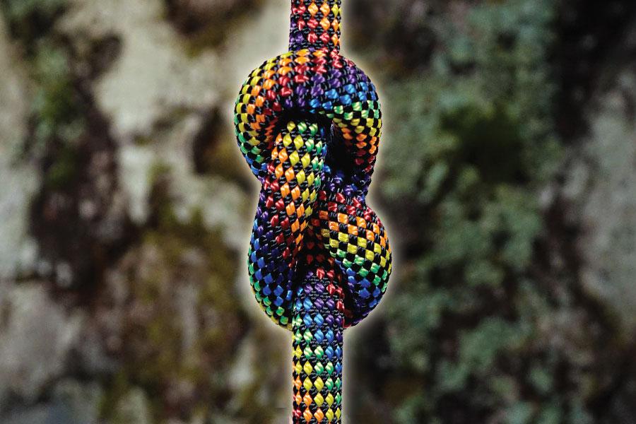 photograph of rainbow colored tree climbing rope