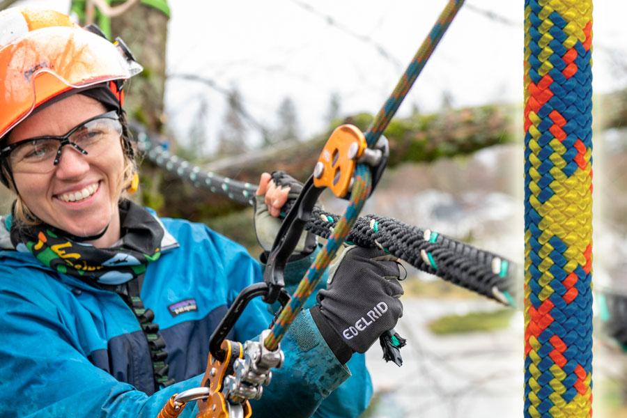 photograph of tree climbing rope