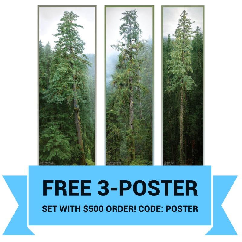 Free Poster Set in $500 order