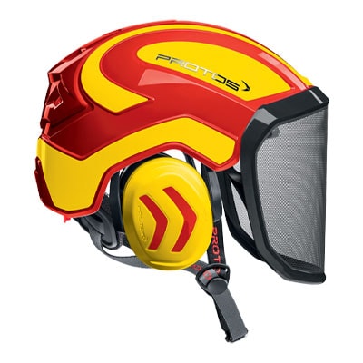 A tree climber's safety helmet
