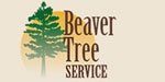 beaver-tree-publishing logo