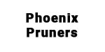 phoenix logo
