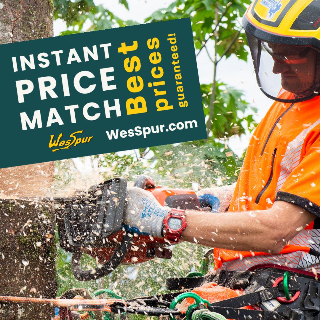 Picture of a tree climbing removing top of tree with chainsaw.