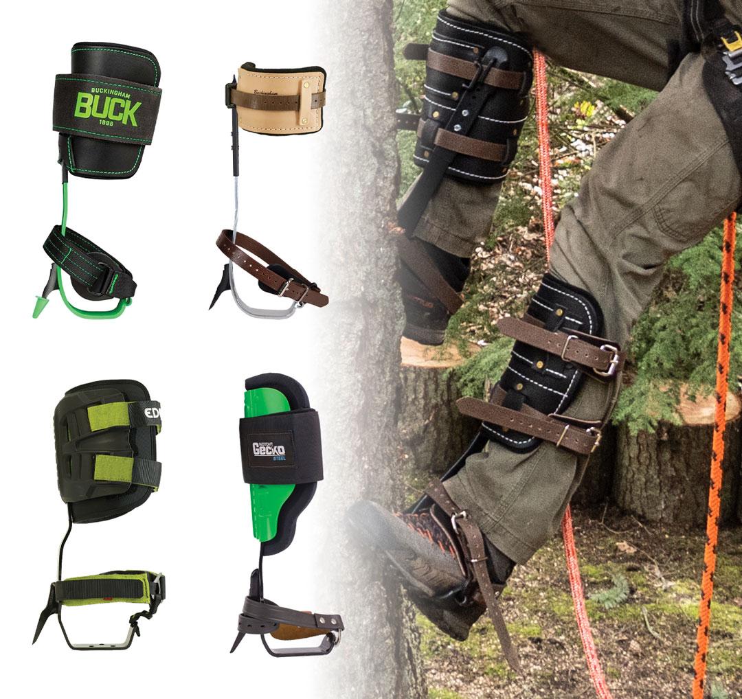Guide to Tree Climbing Spikes