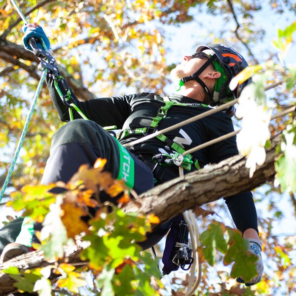 notch glide in use