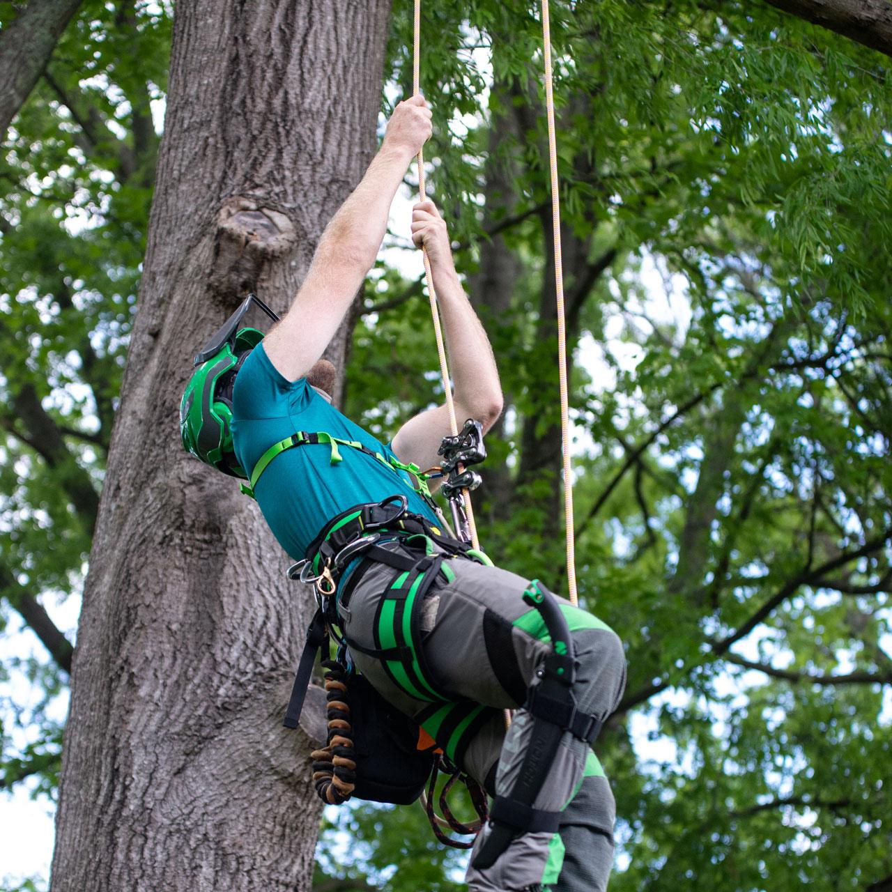 Notch Rope Runner Pro