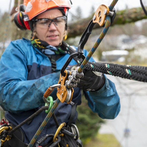 petzl chicane in use