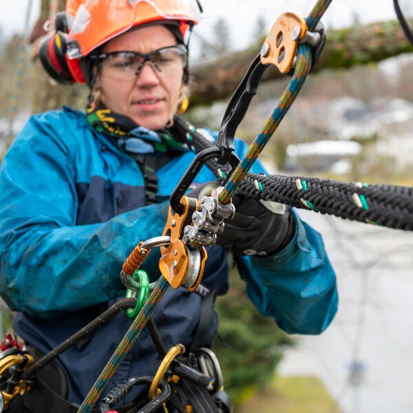 petzl chicane in use