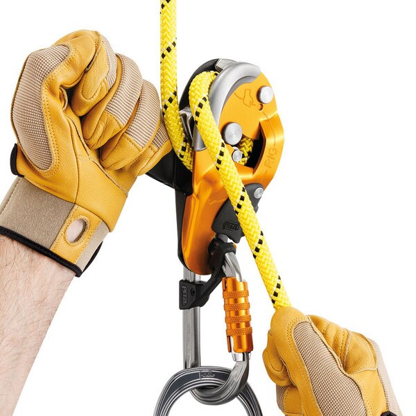 DESCENDER, PETZL RIG