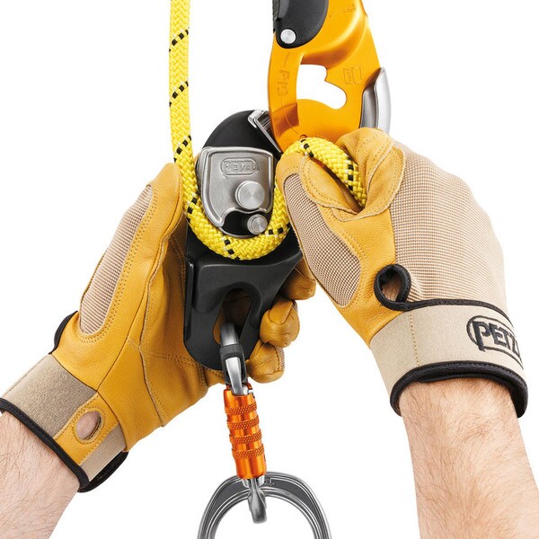 DESCENDER, PETZL RIG