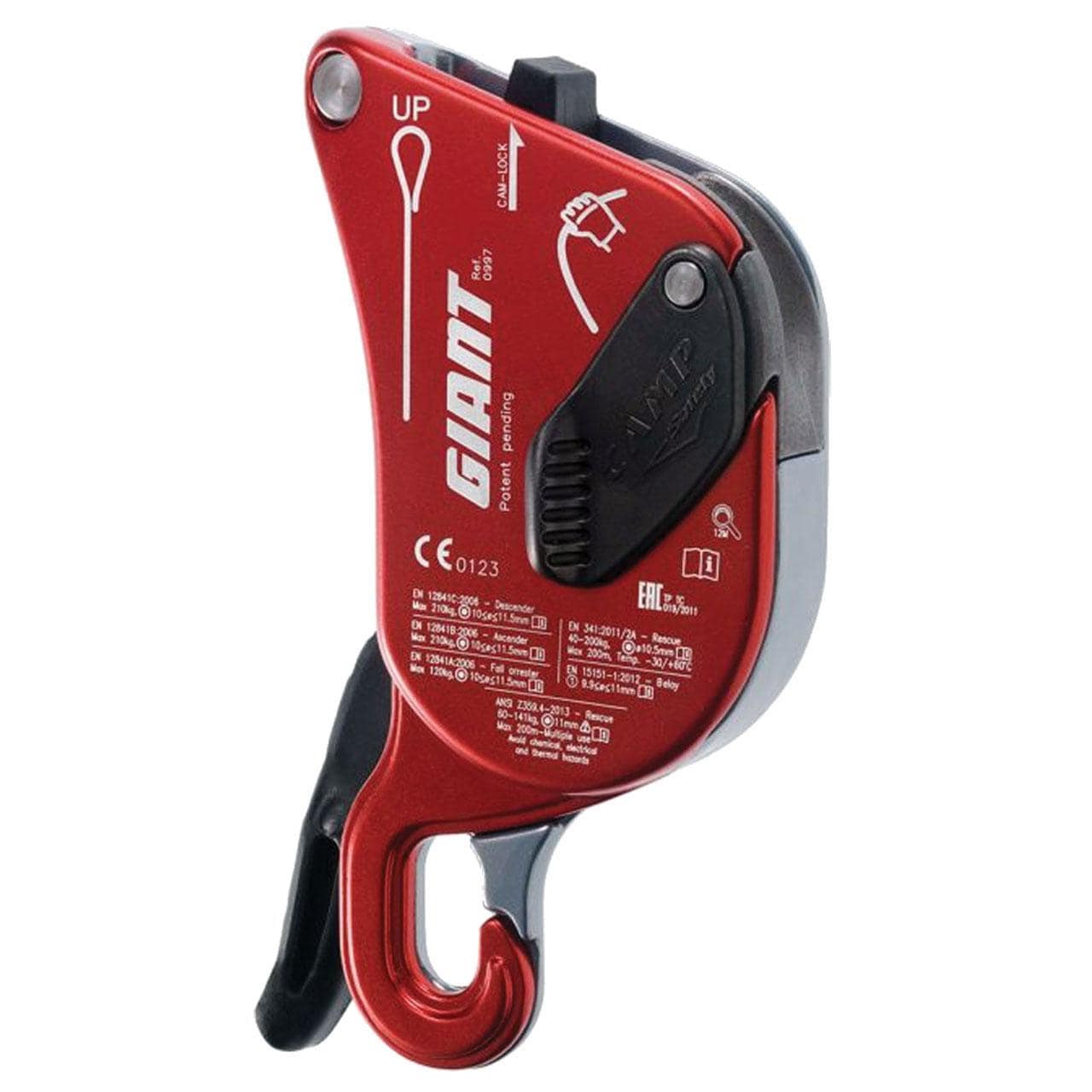camp giant descender