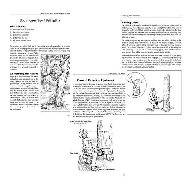 to fell a tree interior pages
