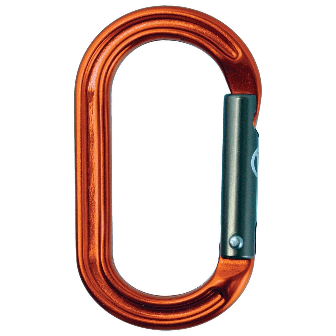 CAR318_Orange.jpg?resizeid=4&