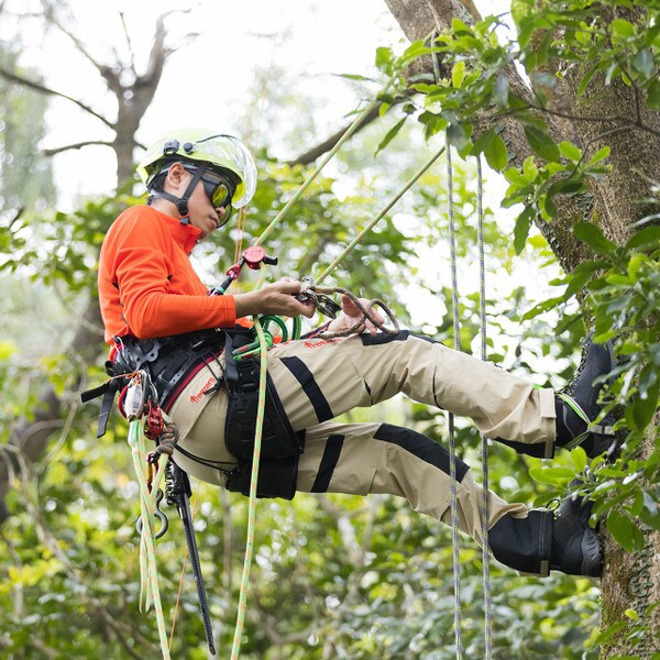 Treezers Zhek Climbing Pants
