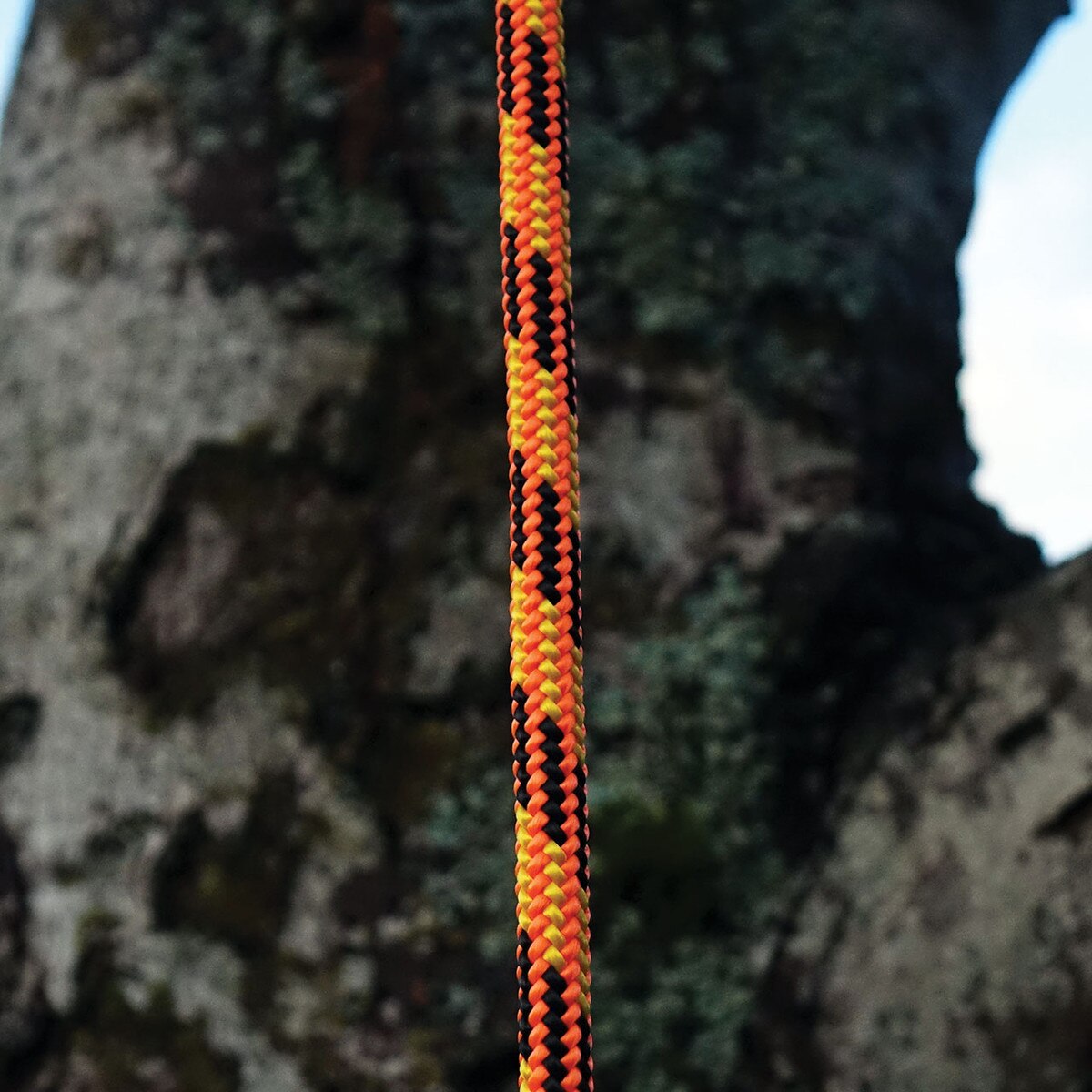 blaze rope shows up great in the trees