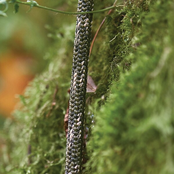 predator camo climbing rope