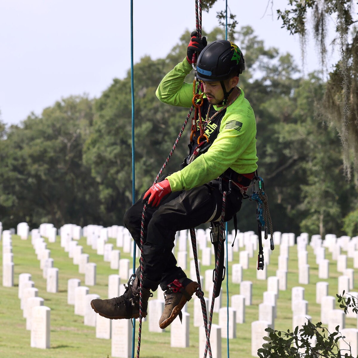 saluting branches rope climber
