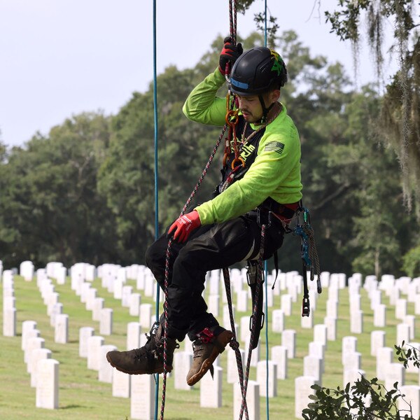 saluting branches rope climber