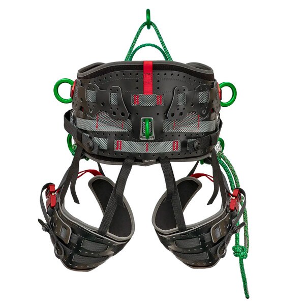 DMM KINISI BACK VIEW