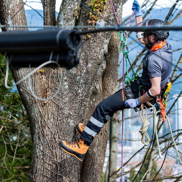 arcmax chainsaw pants being worn by a tree climber