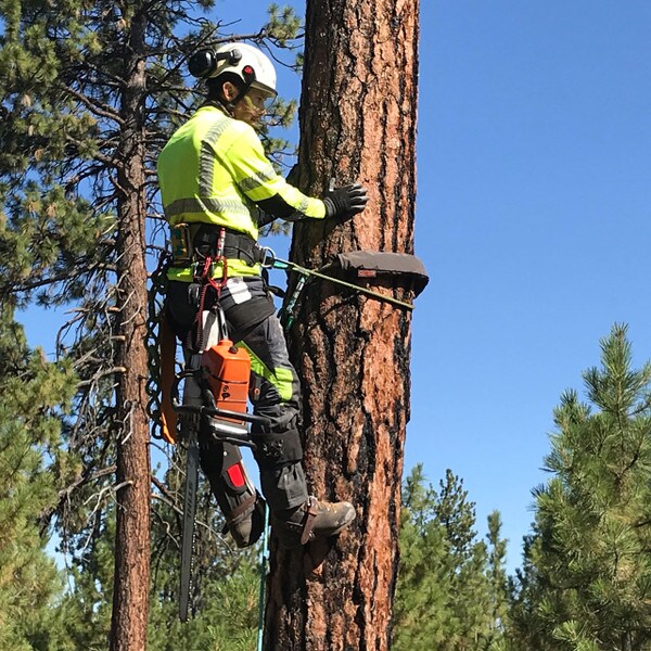 Ropeguard Chainsaw Protective