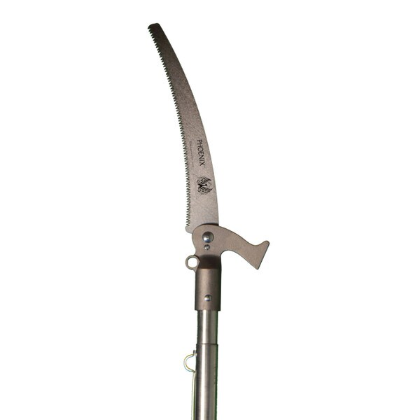 picture of professional pole saw