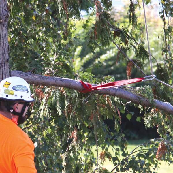 Arborist using slide line sling to send wood to chipper.