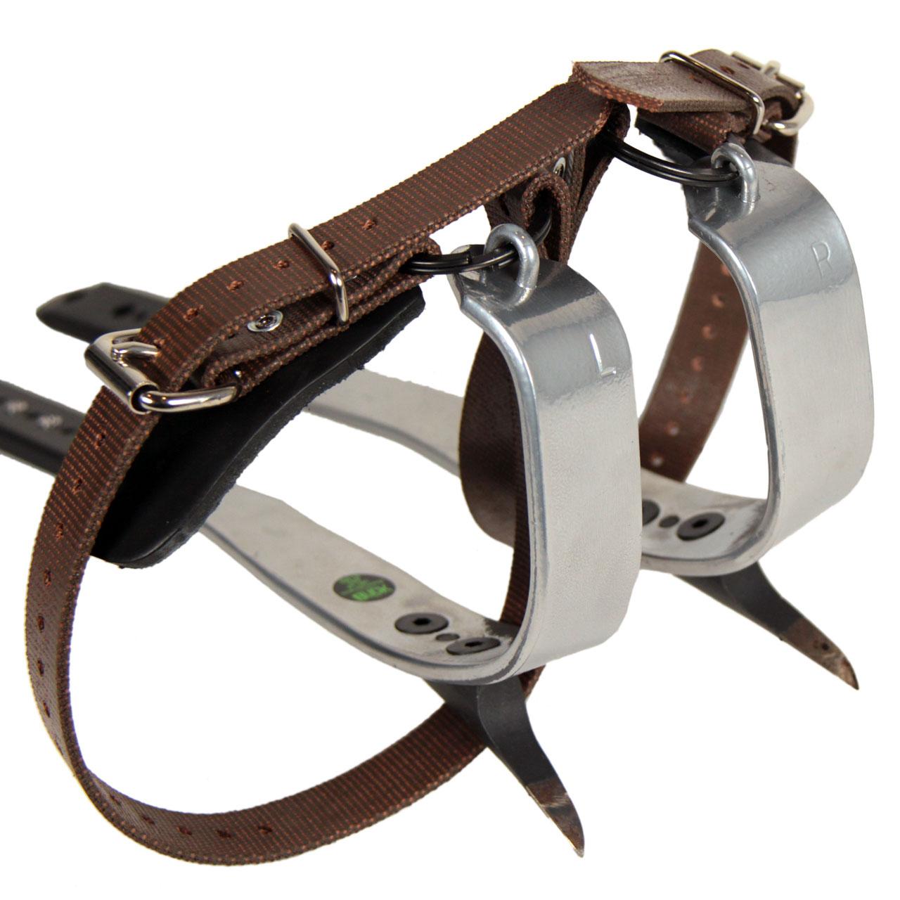 Buckingham Tree Spurs with Lower Straps, Gaff Guards