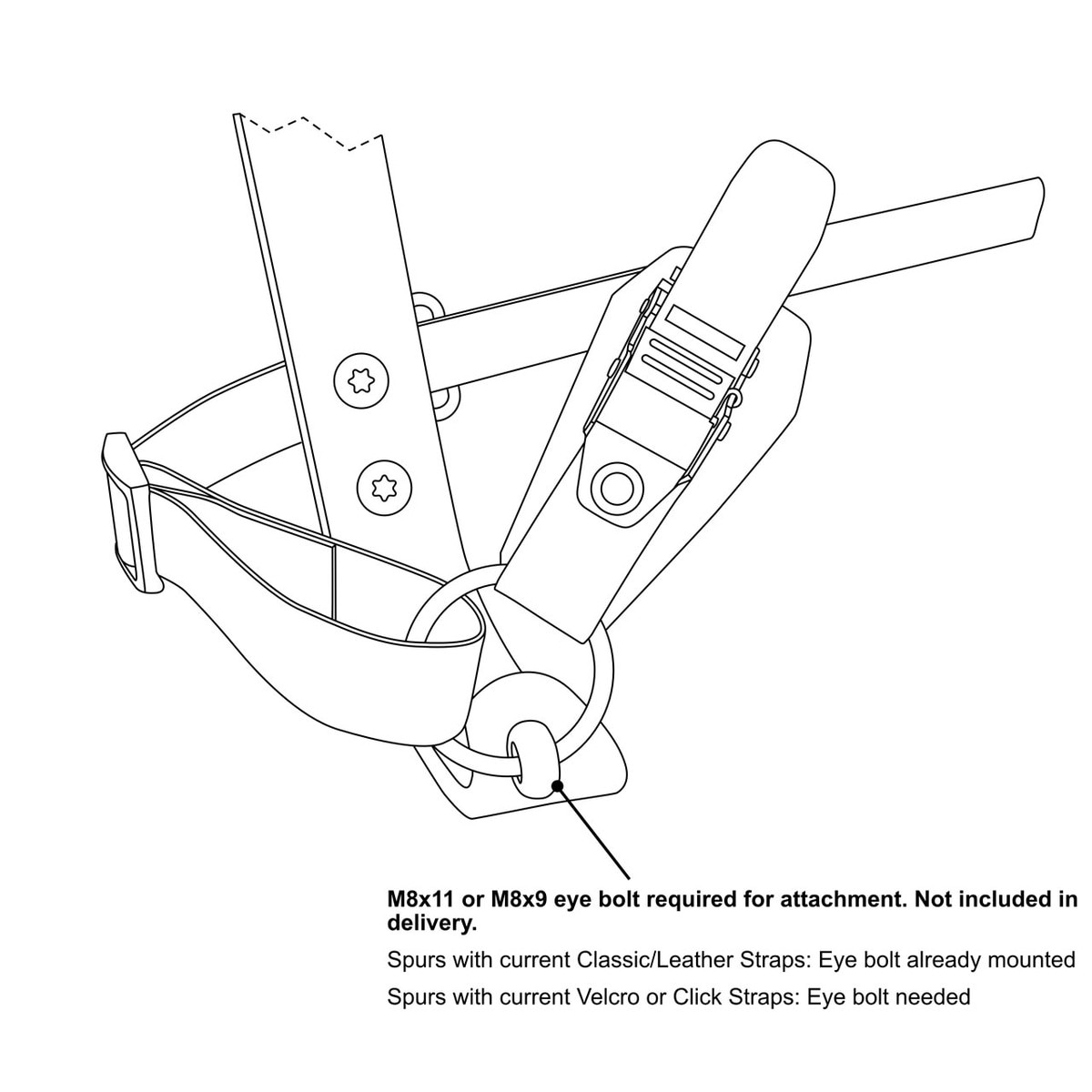 distel ratchet straps