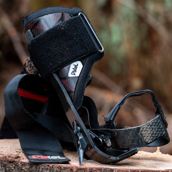 distel carbon spikes