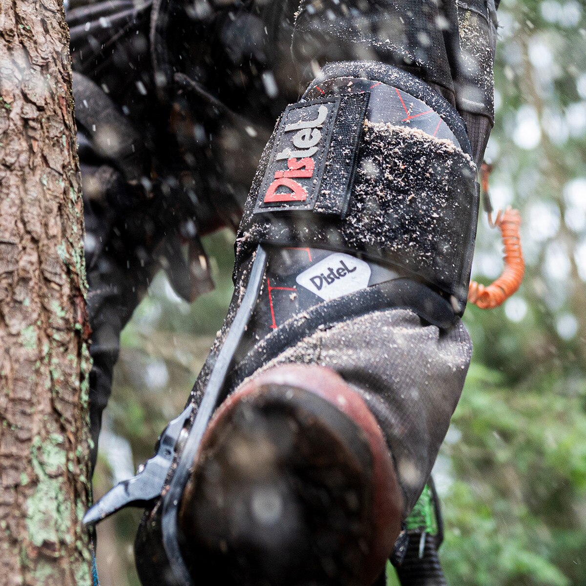 distel carbon spikes