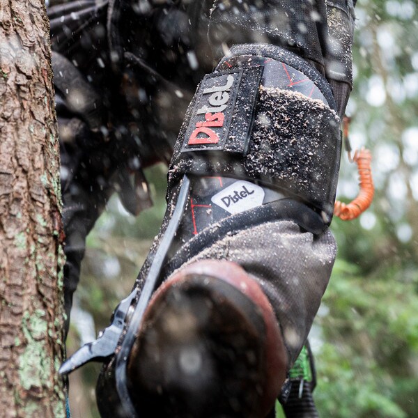 distel carbon spikes