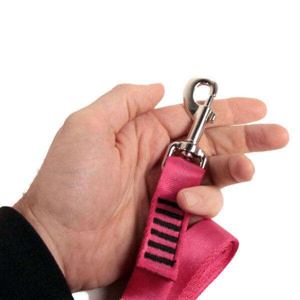 isrs dog leash